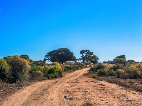 Rural Village along the Coastal Route Ancienne N9 from Toliara to Andavadoaka, Madagascar