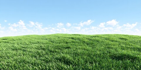 Obraz premium Vibrant green grassy hill slopes gently under a vast blue sky with soft white clouds.