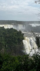 Majestic Iguazu Falls in Brazil showcasing powerful cascades surrounded by lush green rainforest under a cloudy sky © Felippe Lopes