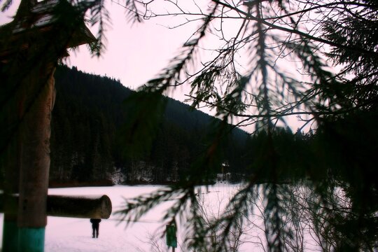 snowy nature ❄️
