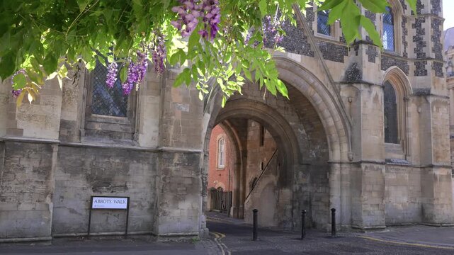 Reading Abbey Gateway stone arch frames a quiet lane as purple wisteria hangs over the entrance in soft spring light.