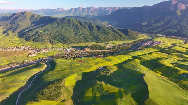 Sunset Over Rapeseed Fields and Mountains at Zhuoer Mountain in Qinghai, China