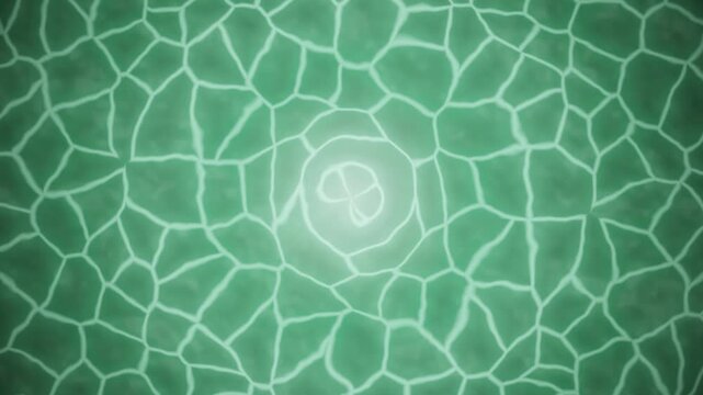 Swimming pool water reflection caustic light abstract background seamless loop 4K