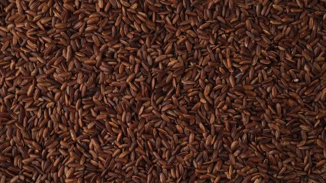 Uncooked brown rice grains rotating slowly
