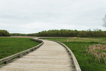Fototapeta premium A long wooden boardwalk curves through a wide green prairie and wetland landscape beneath an overcast sky. This image highlights accessible nature trails, restored habitat, and open space