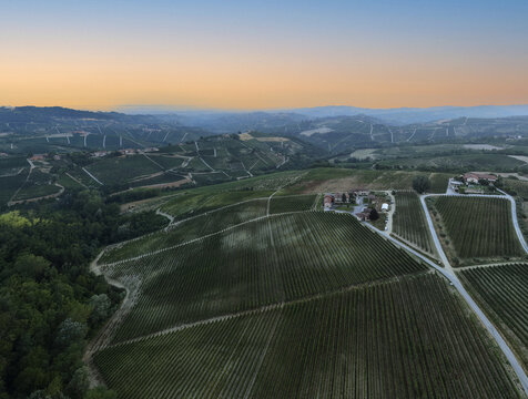 Aerial view of rolling vineyards in Monforte d'Alba at sunset, with lush green rows of vines, rural farmhouses, and the hilly landscape in Monforte d'Alba, Piedmont, Italy.
