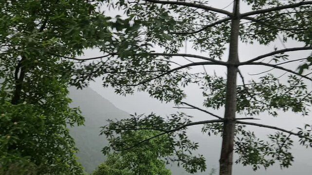 Misty Himalayan Mountain Landscape in Darjeeling India Viewed from a Moving Car, Fog Covered Green Hills During Monsoon, Atmospheric Scenic Travel Footage, Road Trip and Nature Background