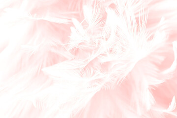 Beautiful soft pink feather pattern texture background © nadtytok28