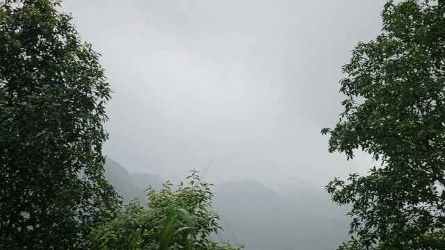 Misty Himalayan Mountain Landscape in Darjeeling India Viewed from a Moving Car, Fog Covered Green Hills During Monsoon, Atmospheric Scenic Travel Footage, Road Trip and Nature Background