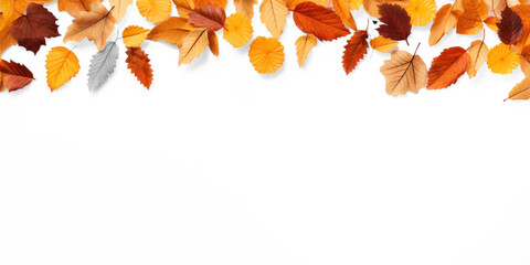 Fototapeta premium A collection of fallen autumn leaves rests along the top edge of a png transparent. The leaves display a range of warm colors, including orange, yellow, brown, and red.