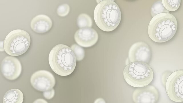 Falling White Button Mushrooms Animation on Neutral Mesh Background