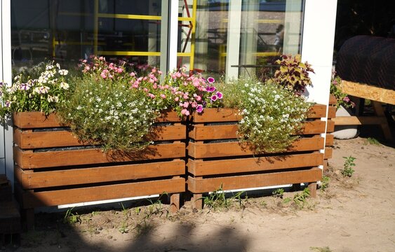 Vibrant wooden planters filled with colorful white and pink flowers decorate an outdoor patio. Sunlight highlights the lush greenery, enhancing the inviting and lively ambiance