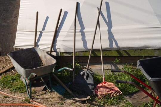  Weathered wheelbarrow filled with hay and surrounded by various garden tools in a sunny backyard. A scene of rustic gardening equipment highlights utility and simplicity