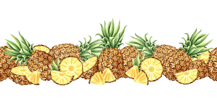Pineapple whole in peel, half and round slice with leaves watercolor seamless border. Tropical fruit background hand drawn illustration for product design. Exotic food for packaging, skincare, textile