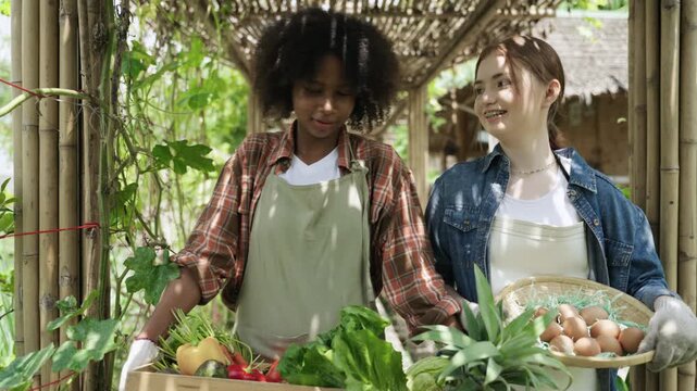 Happy African teenage woman and her Caucasian friend walking holding crate of organic vegetables and basket of fresh chicken eggs harvested from gardens and farms while studying agriculture in school.