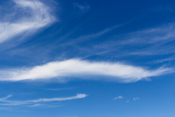 Obraz premium Wispy white cirrus clouds floating gracefully across a deep azure sky, creating a serene and ethereal atmosphere for a peaceful summer day with clear bright weather conditions