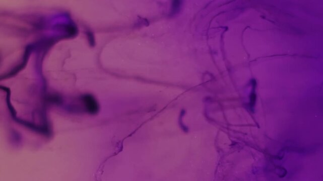 Vertical video. Splash ink. Liquid texture. Defocused purple color acrylic water flowing shiny particles floating on abstract creative background.
