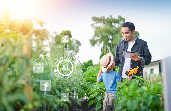 People using Tablet and AI Smart Farmer concept. Father and son using AI technology for chemical-free farming, sustainable agriculture, and higher crop yields.