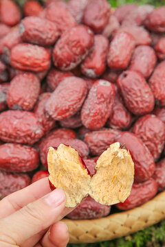 Dried Jujube Fruit Split Open Showing Golden Flesh - Xinjiang Native Chinese Dates in Wooden Bowl