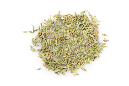 Dried Fennel Seeds Spice Pile Xinjiang Cuisine Cooking Ingredient Small Aromatic Seeds