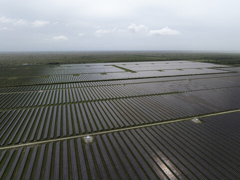 Aerial view of a vast solar farm with rows of photovoltaic panels stretching across the flat landscape under a cloudy sky in Miami, Florida, United States.