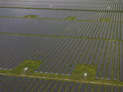 Aerial view of a large solar farm with rows of photovoltaic panels arranged in a field in Miami, Florida, United States.