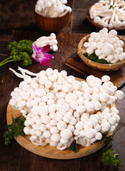 Fresh White Edible Mushrooms from Yunnan Province in Wooden Bowls on Rustic Table © NgoVan