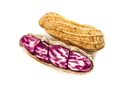 Fresh Yunnan Plateau Peanuts with Purple Striped Kernels in Natural Shell