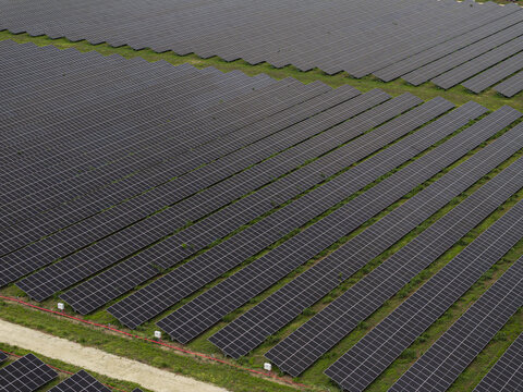 Aerial view of a large solar farm with rows of photovoltaic panels arranged in neat lines across a grassy field in Miami, Florida, United States.