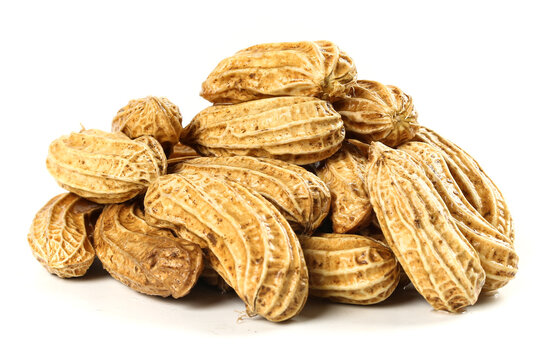 Fresh Picked Peanuts in Shell from Yunnan Plateau China - Natural Organic Groundnuts