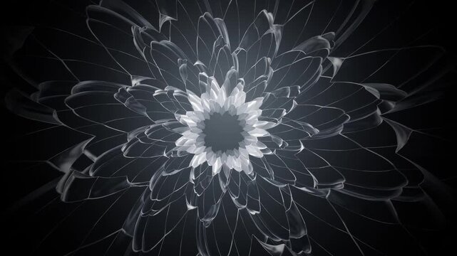 3D flower blooming abstract 4K animation background loop