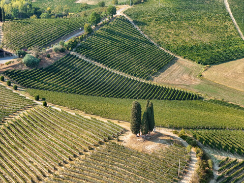 Aerial view of the Tenuta La Court UNESCO World Heritage Site in the Langhe wine-growing landscapes, with vineyards and cypress trees in Castelnuovo Calcea, Piedmont, Italy.