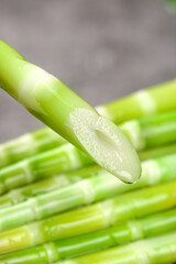 Fresh Green Bamboo Shoots Sliced Showing White Interior - Asian Vegetable Cooking Ingredient © LeThi