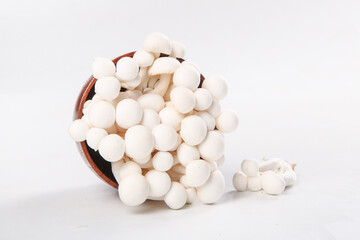 Fresh White Wild Mushrooms from Yunnan Province in Wooden Bowl © NguyenVan