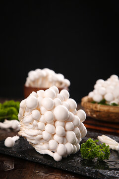 Fresh White Jade Mushrooms from Yunnan - High Quality Edible Fungi on Dark Slate Background
