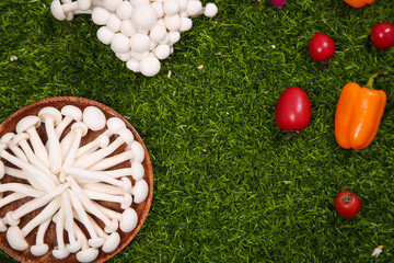 Fresh White Edible Mushrooms with Vegetables on Green Grass - Healthy Organic Food Ingredients © NguyenVan