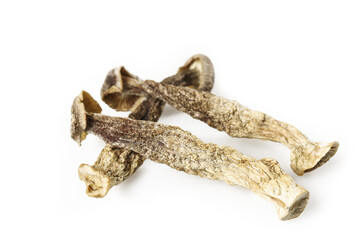 Fototapeta premium Wild Antler Mushrooms from Yunnan China - Fresh Edible Fungi Isolated on White Background