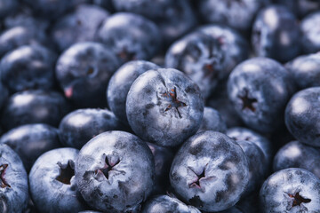 Fresh Ripe Blueberries Close-Up - High Quality Organic Fruit Photography with Natural Texture and Crown Details © NguyenVan