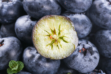 Fresh Large Blueberries Cut in Half Showing Internal Star Pattern - High Quality Fruit Produce © NguyenVan