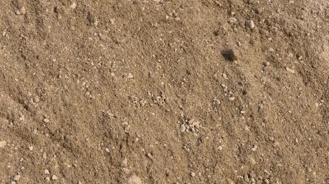 Close up of dry brown sand grains slowly rolling downwards on a slope