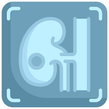 Kidney X-ray flat icon. For presentation, graphic design, mobile application, web design, infographics or UI.