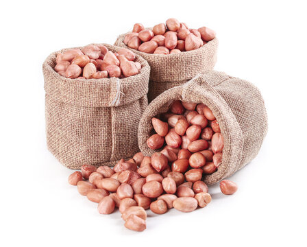 Fresh Raw Peanuts in Burlap Sacks on White Background