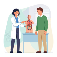 Fototapeta premium Doctor Explaining Human Anatomy to Patient using Anatomical Model - Medical Education and Consultation