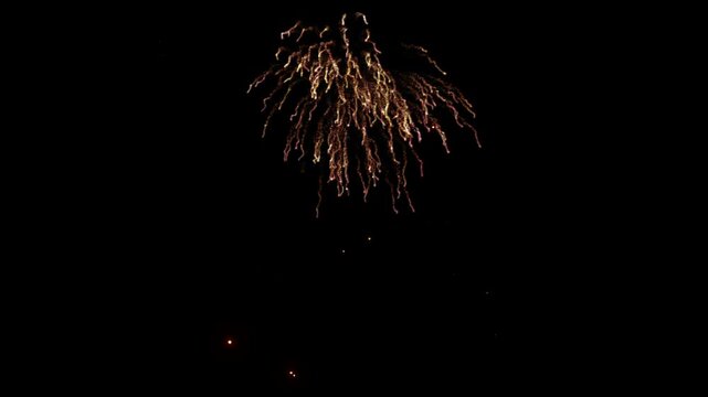 Golden fireworks explode in the dark night sky during a festive celebration event filled with sparkling light trails.