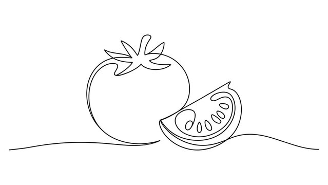 Fresh red tomato and a sliced piece drawn with a single continuous line art style isolated on a white background Vector, illustration