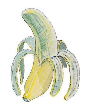 Peeled Banana Watercolor Illustration