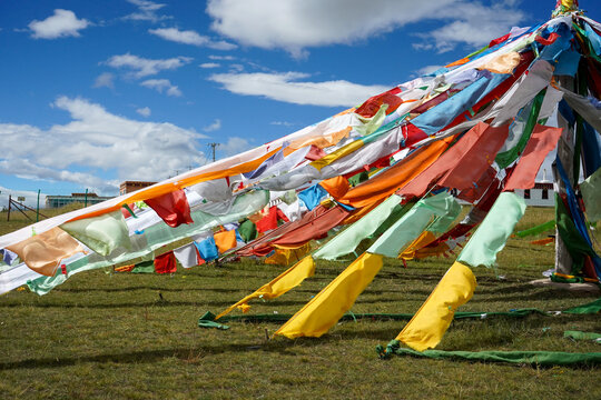 Colorful Tibetan prayer flags fluttering over highland grassland, Tibet