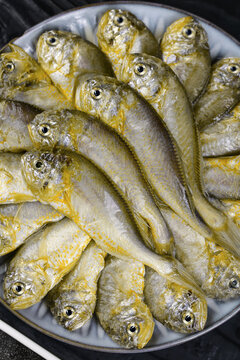 Fresh Wild Yellow Croaker Fish from Zhoushan China on White Plate - Premium Seafood Catch with Heads