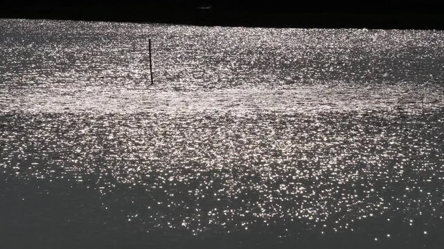 Sunlight sparkling on textured water surface