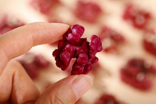 Fresh Red Walnut Kernel with Natural Skin from Xinjiang - Hand Holding Nutritious Nut Meat